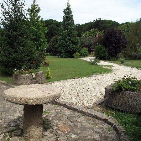 Facha Quinta Do Sobreiro - Country House酒店 客房 照片